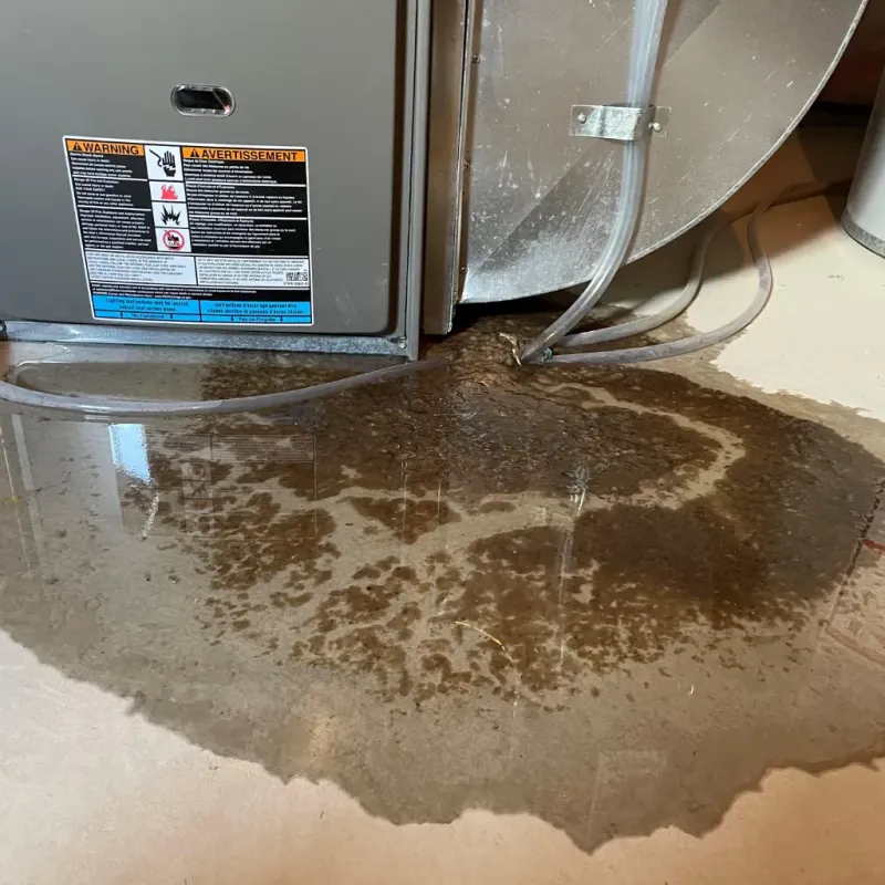 Appliance Leak Cleanup in Warroad, MN